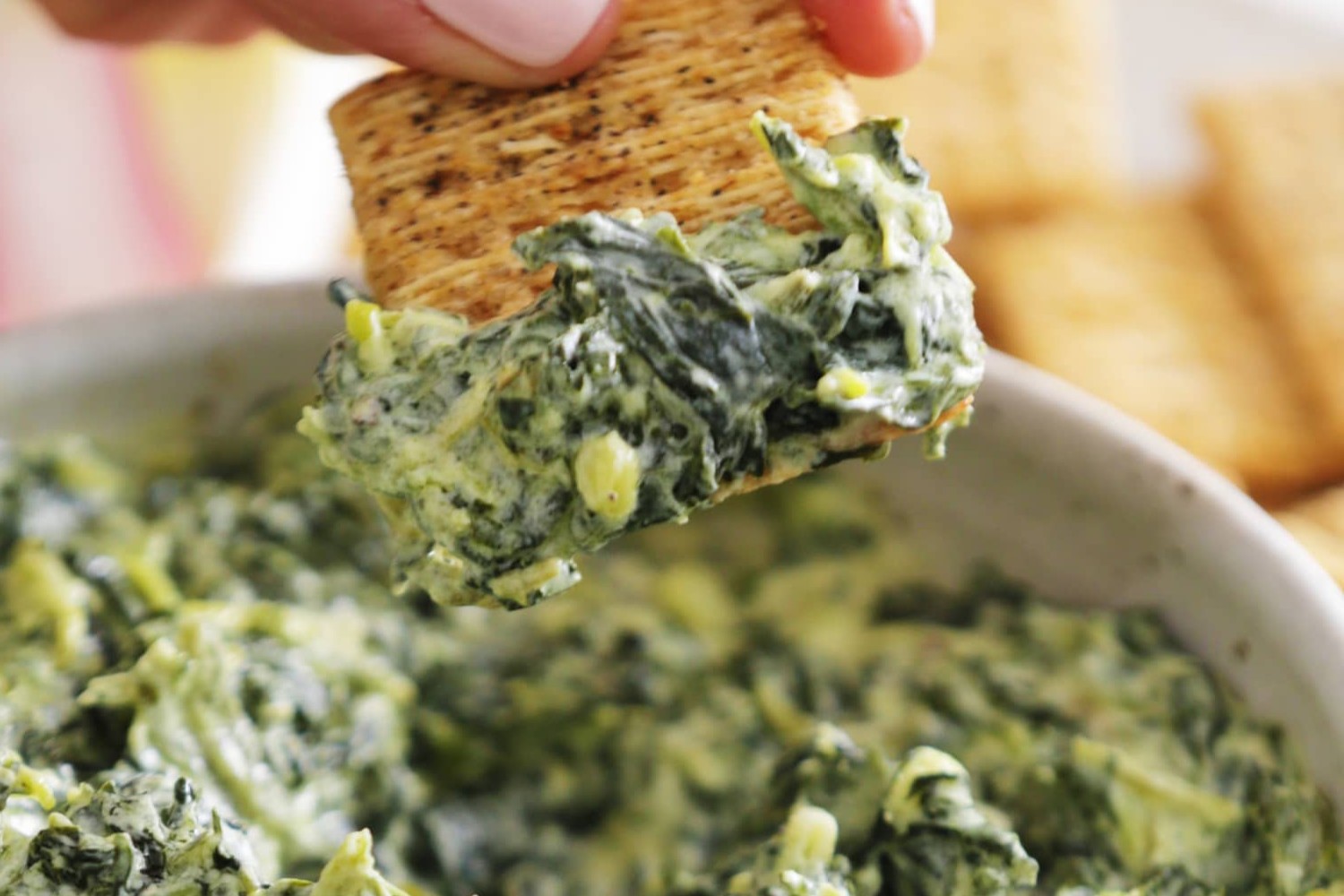 spinach-dip-recipe